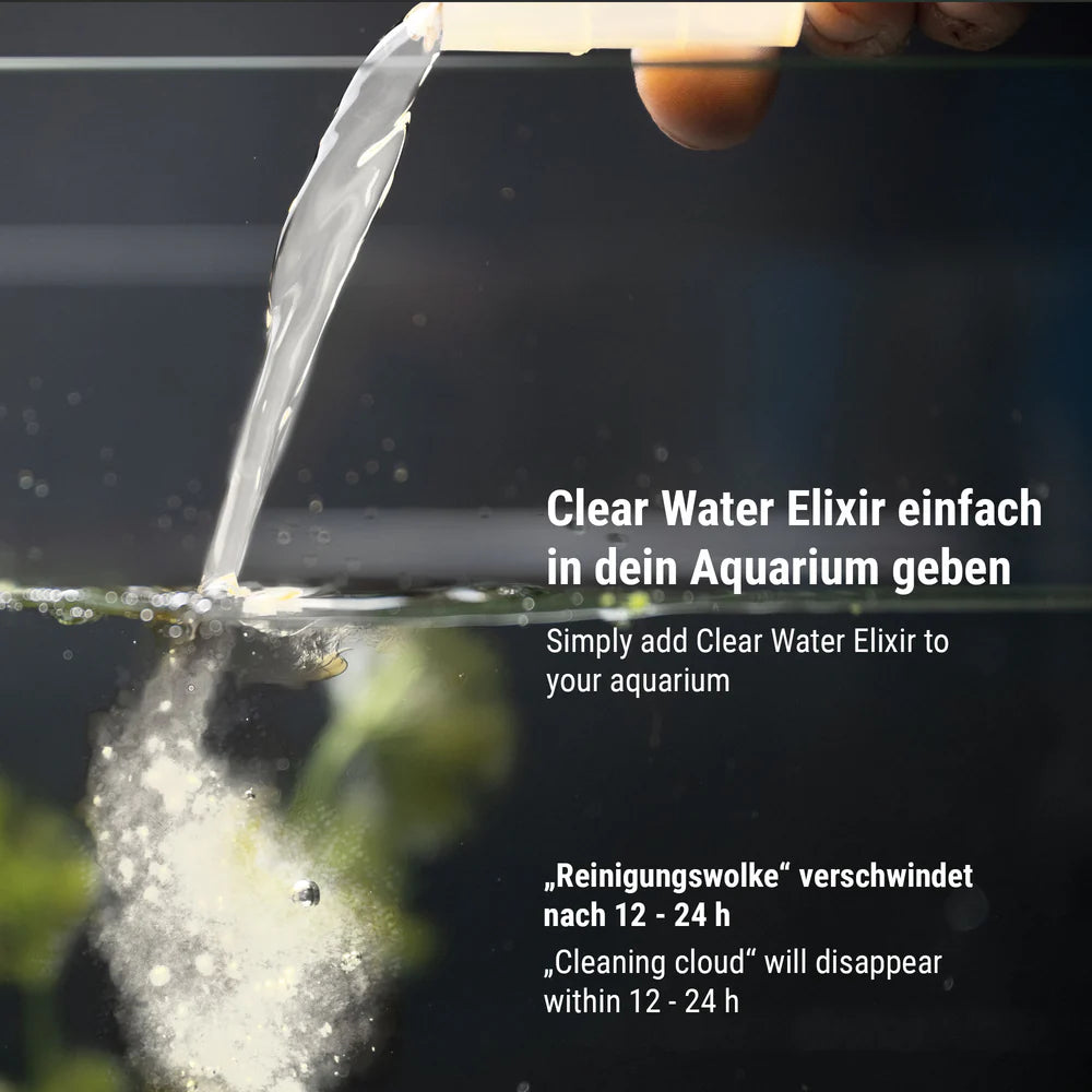 Clear Water Elixir