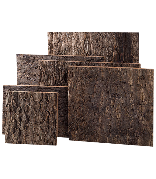 Natural Cork Background