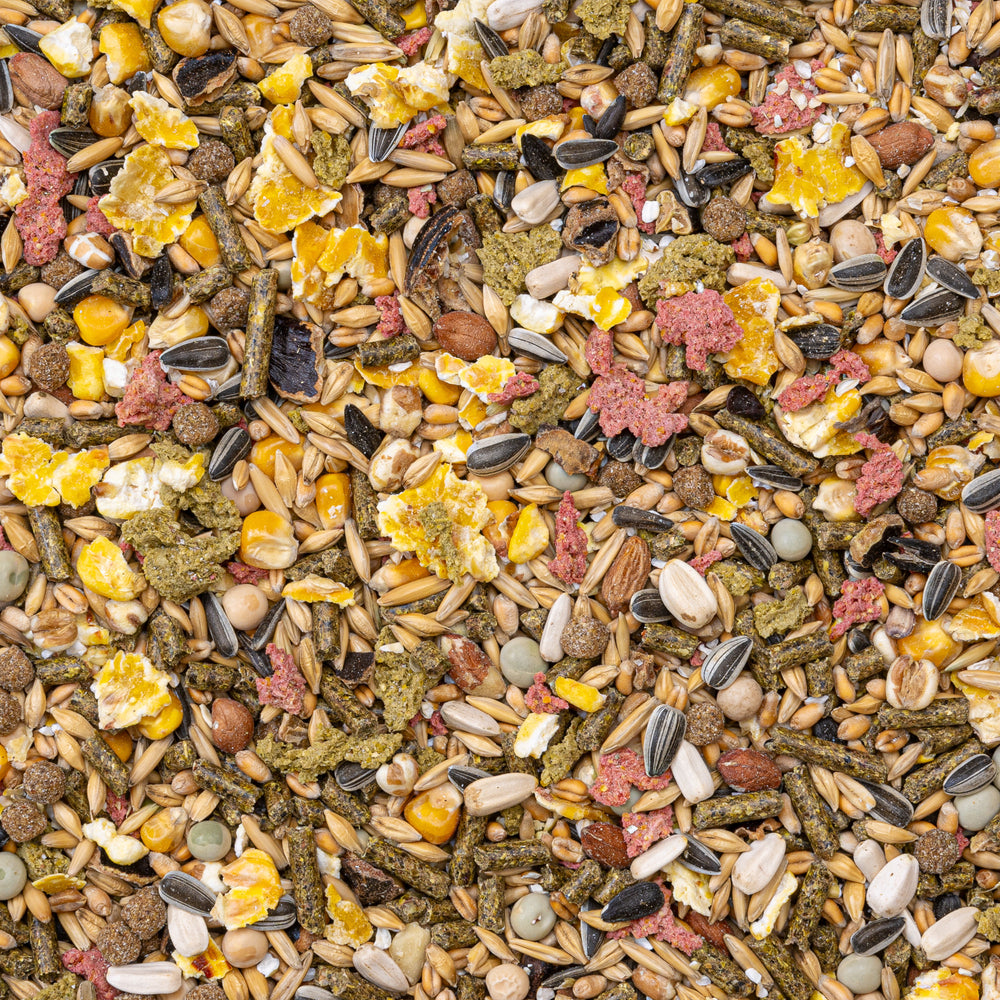 Nagerfutter Basismischung für kleine Nagetiere