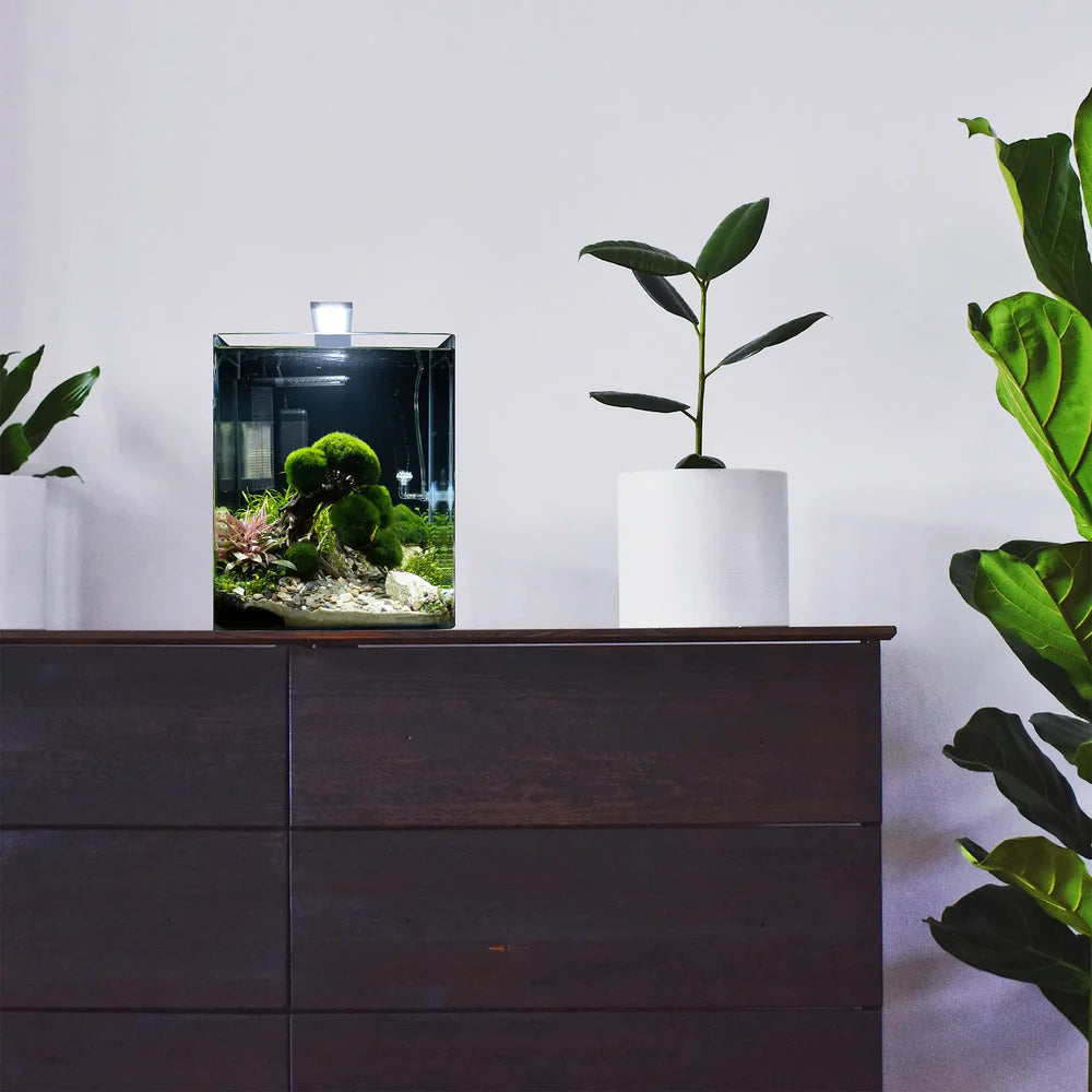 Nano Cube