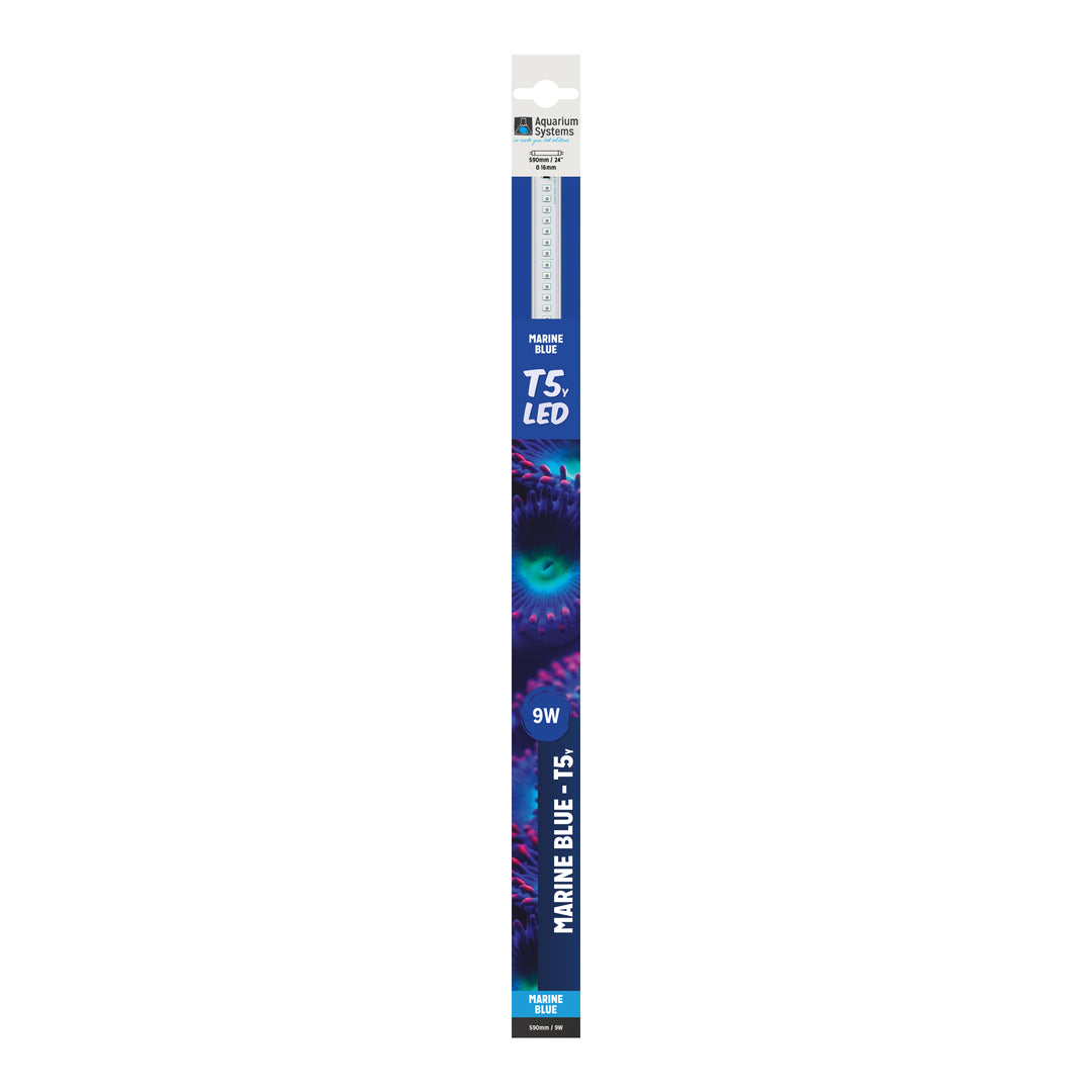 T5 LED Marine Blue