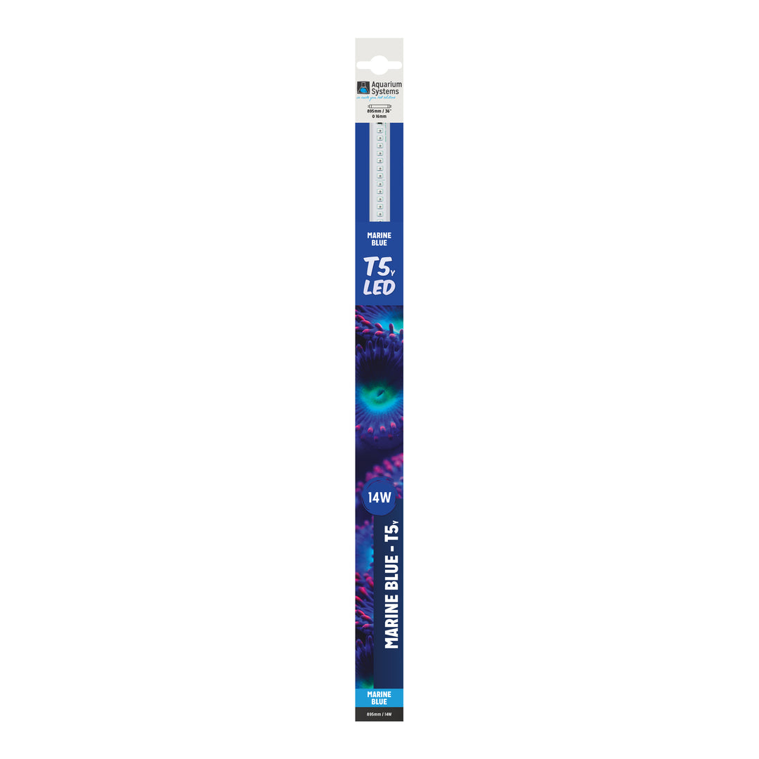 T5 LED Marine Blue
