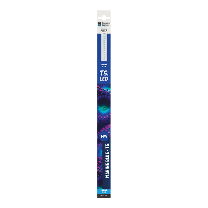 T5 LED Marine Blue