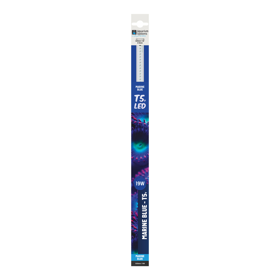 T5 LED Marine Blue