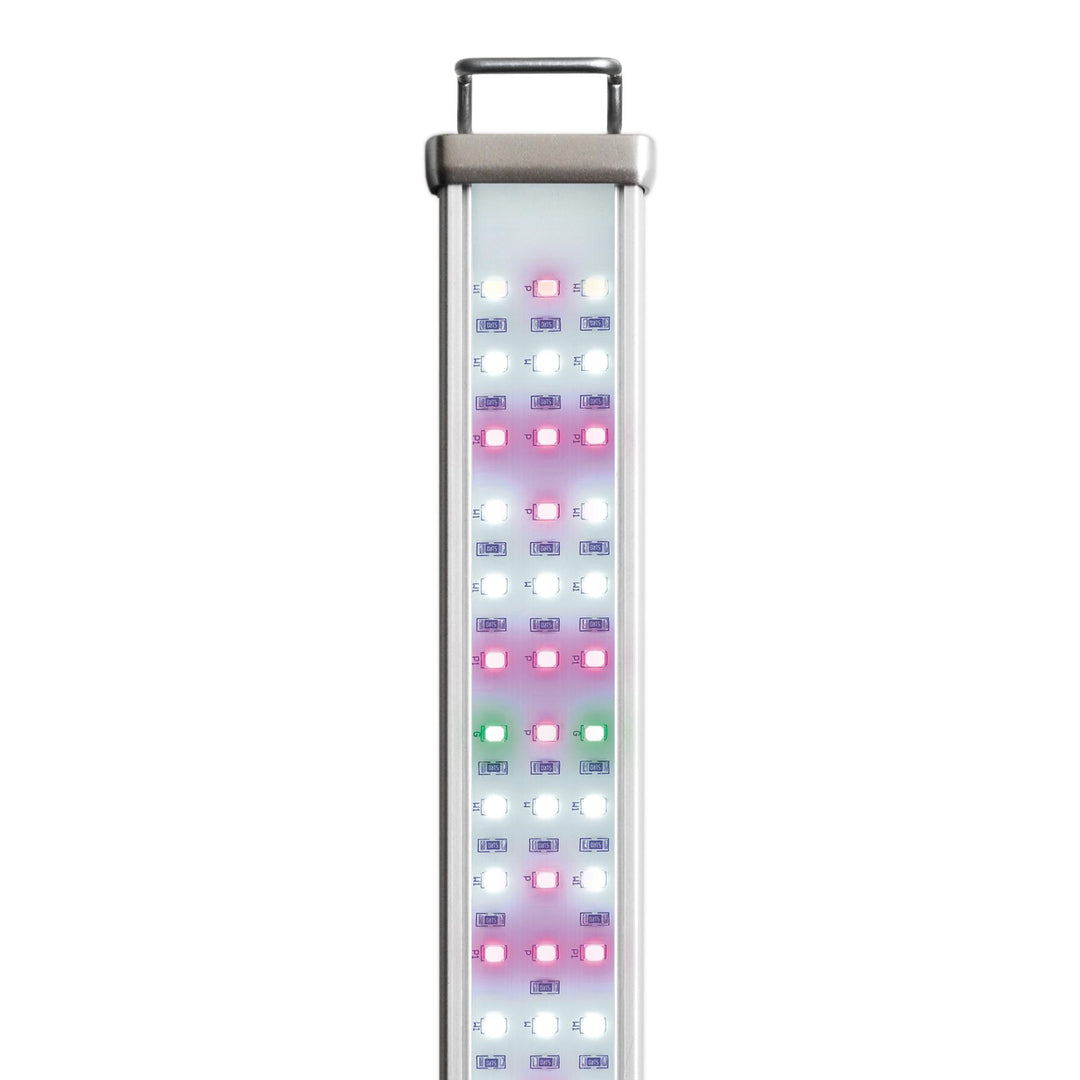 Proten LED bar freshwater