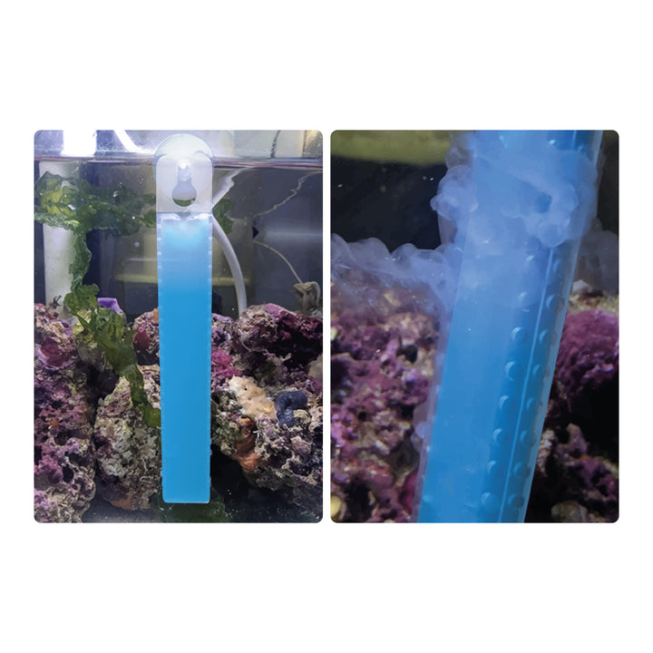 Waste-Away Gel freshwater