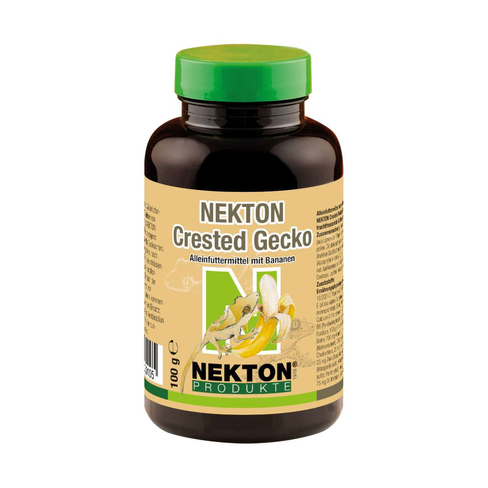 NEKTON Crested Gecko mit Banane
