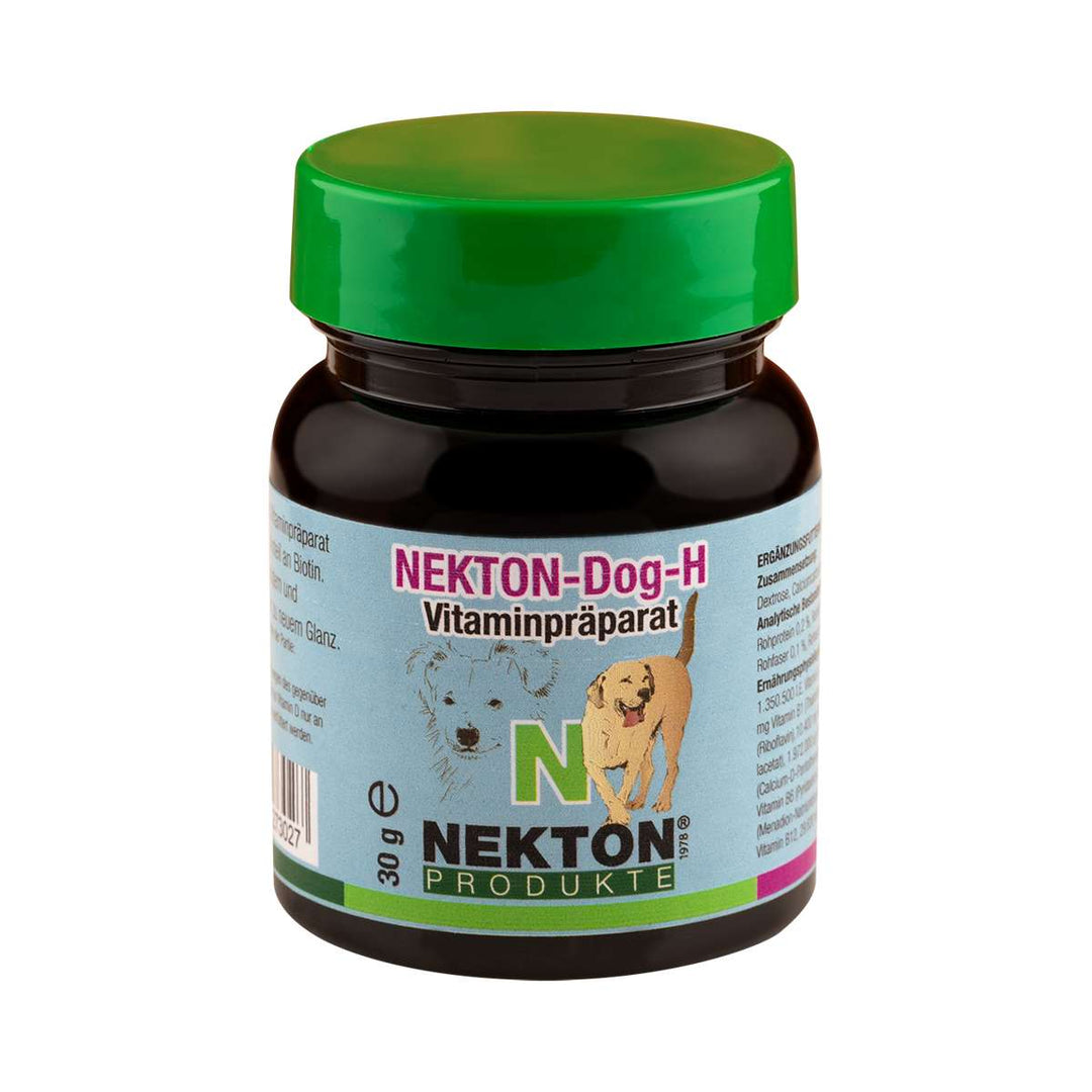 NEKTON-Dog-H