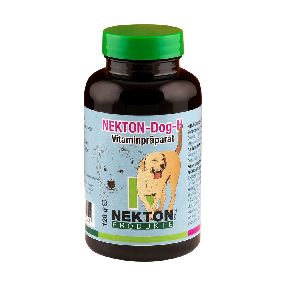 NEKTON-Dog-H