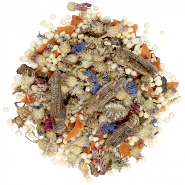 JR FARM Tiny Treats Grasshopper-Mix – Proteinreicher Snack für Kleintiere