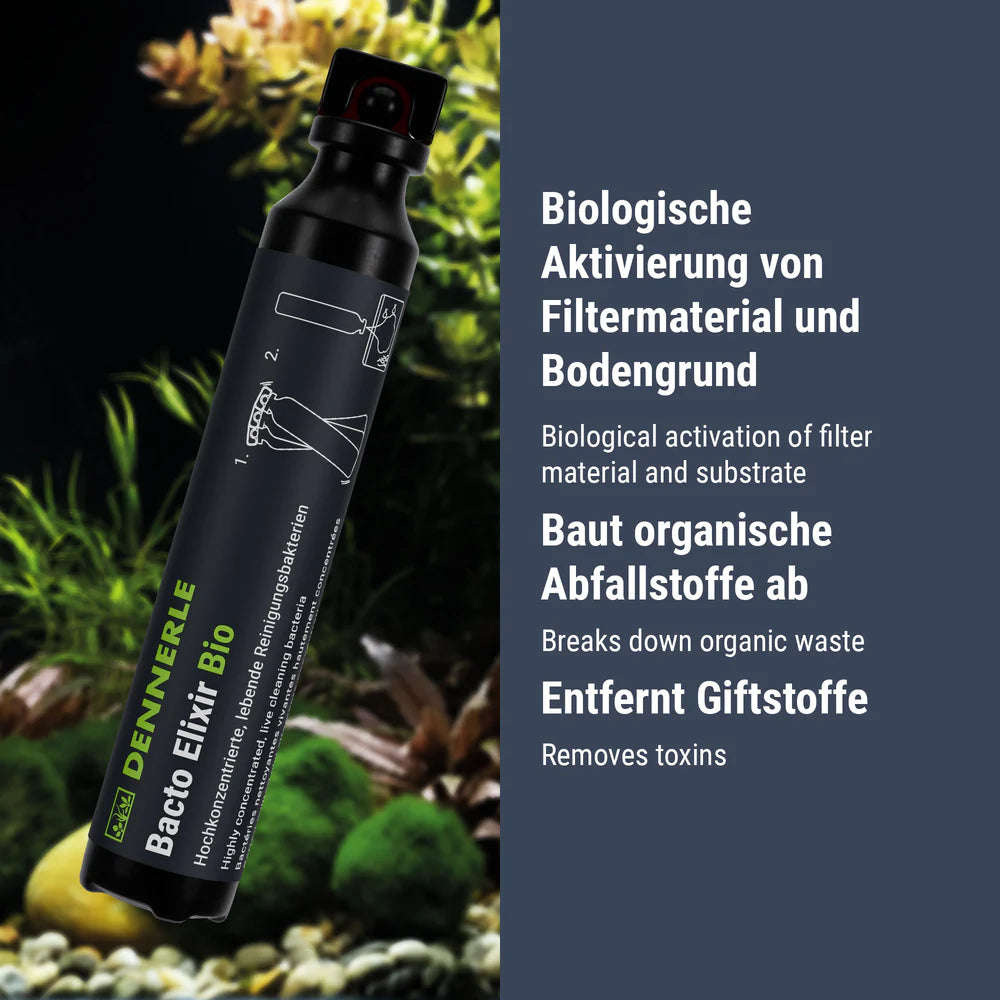 Bacto Elixir Bio