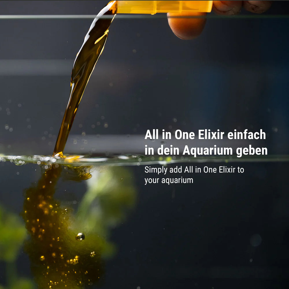 All in One Elixir