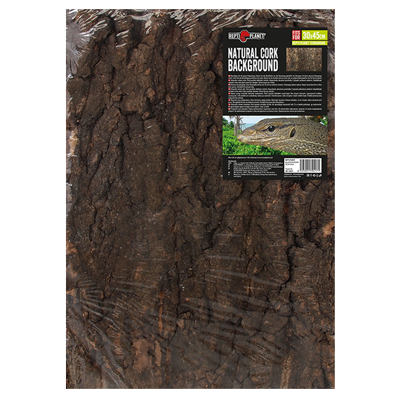 Natural Cork Background