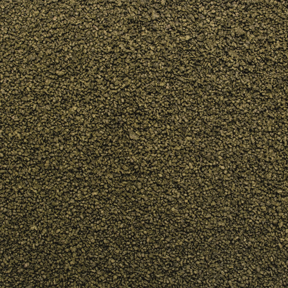 3-Algae Granulat