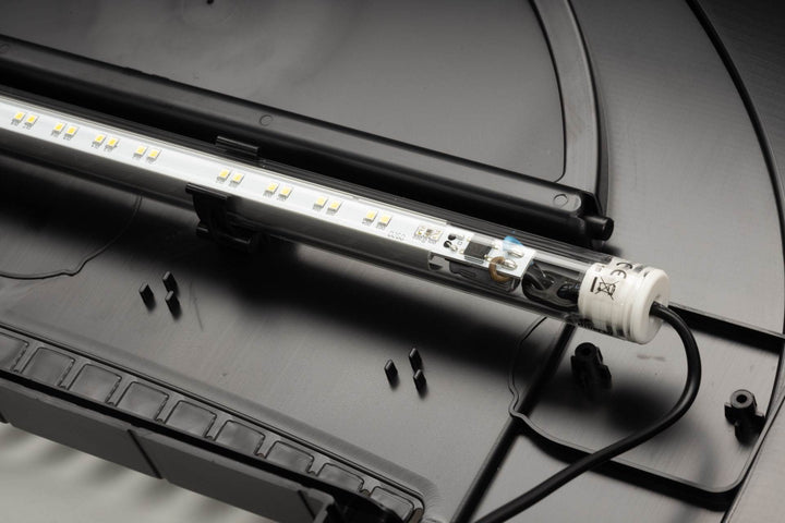 LED Expert Color
