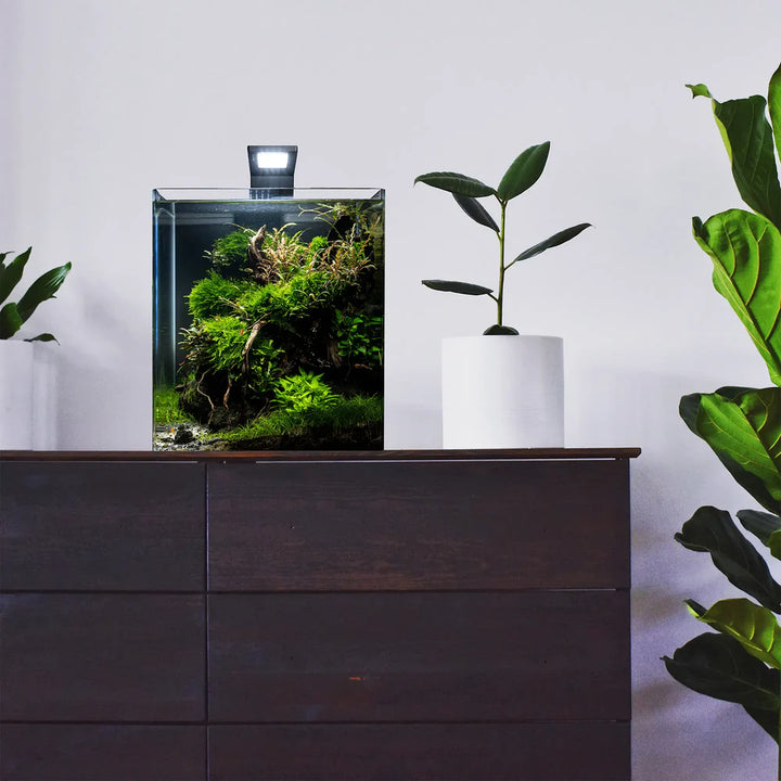 Nano Cube
