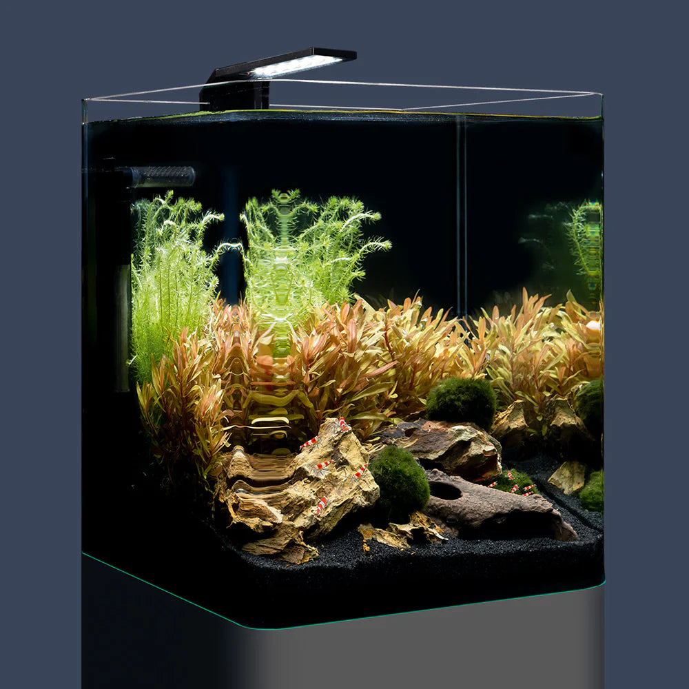 Nano Cube Basic