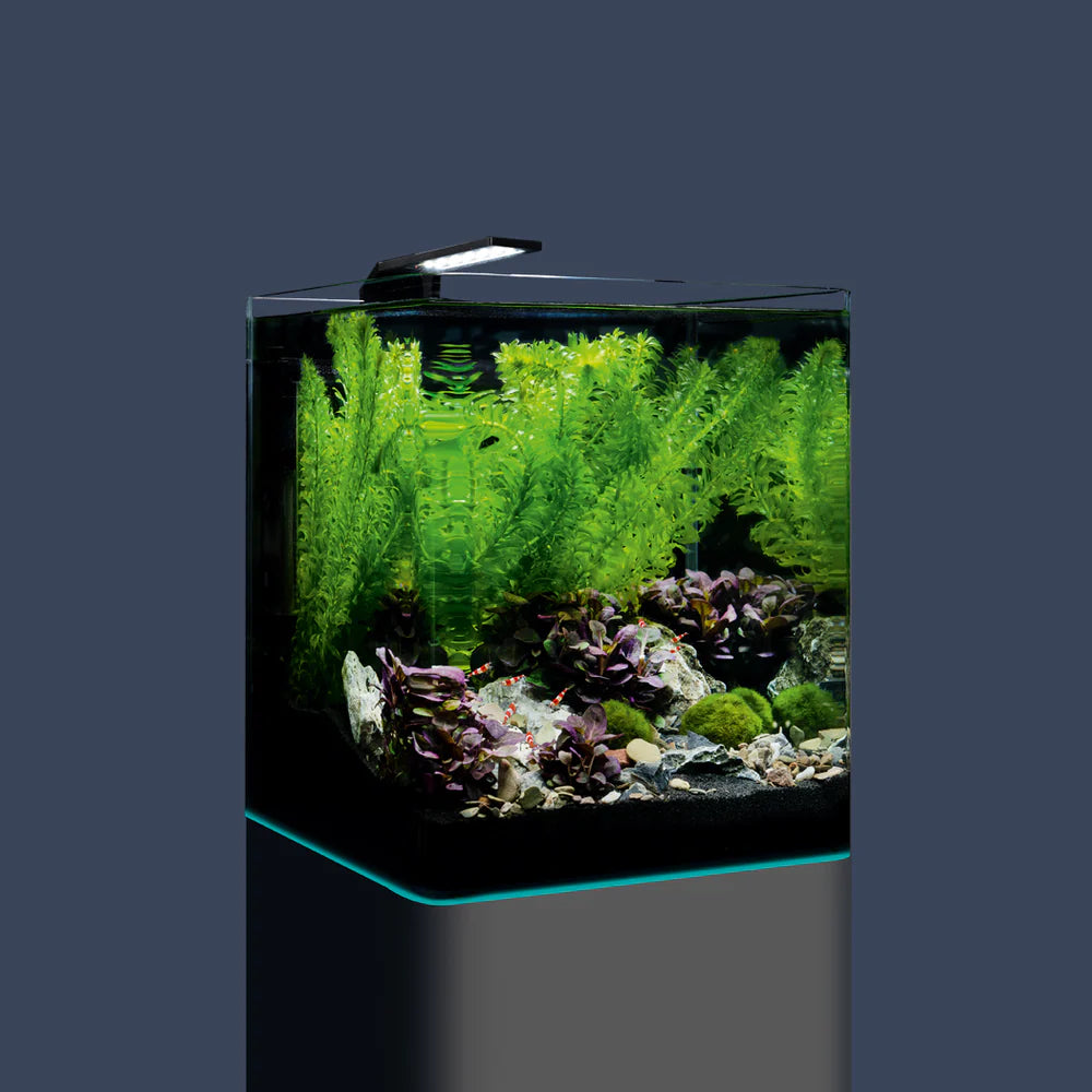 Nano Cube Complete