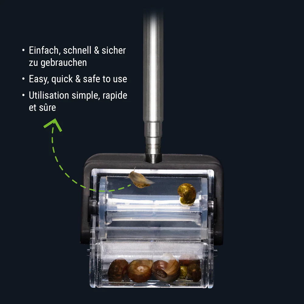 Snail Catcher
