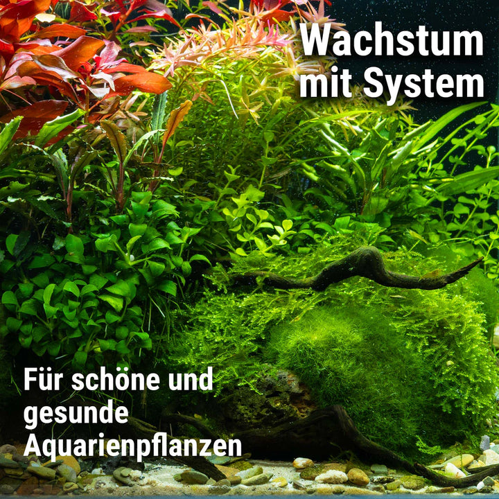 Plant System Set