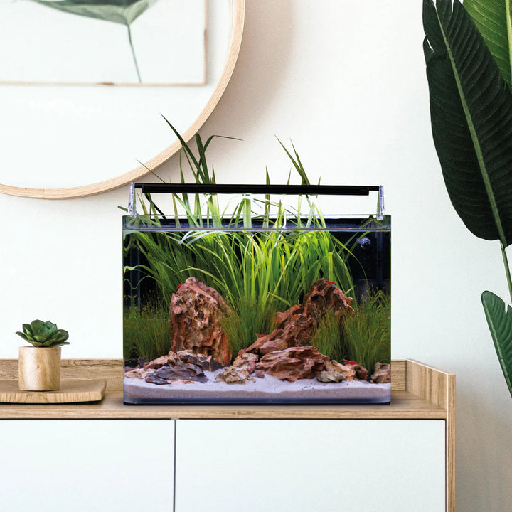 Nano Tank Basic