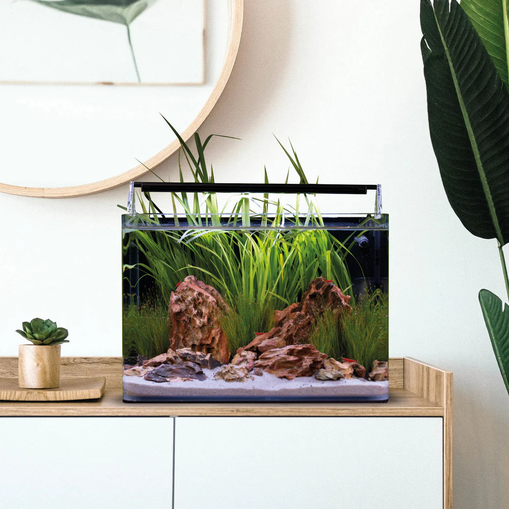 Nano Tank Complete