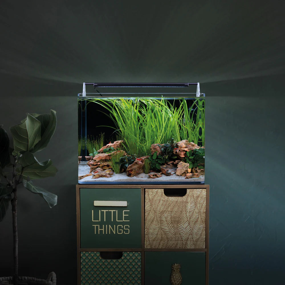 Nano Tank Complete