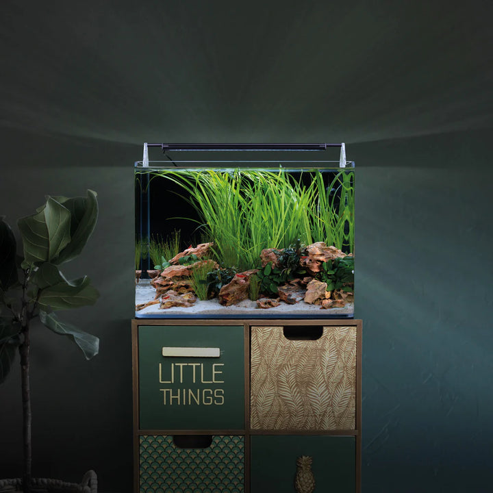 Nano Tank Complete