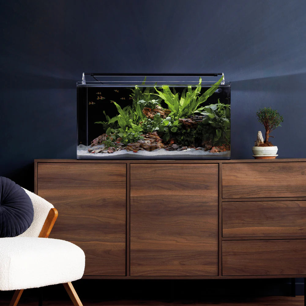 Nano Tank Complete