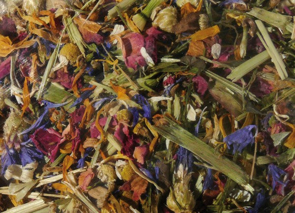 Blumenwiese Exquisit-Mix Nagertraum von Hugro