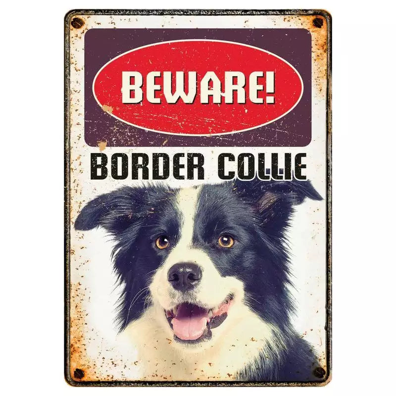 SOLANGE VORRAT REICHT Metallschild "Border Collie"