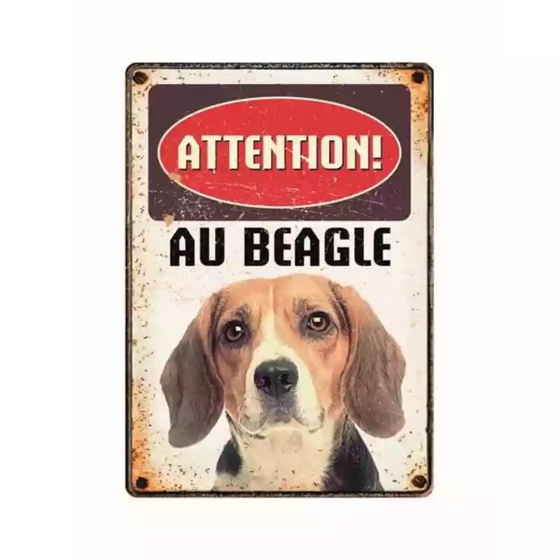 Metallschild "Beagle"
