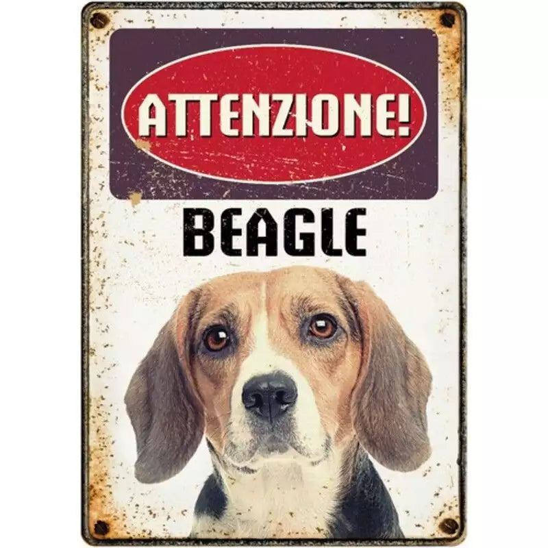 Metallschild "Beagle"