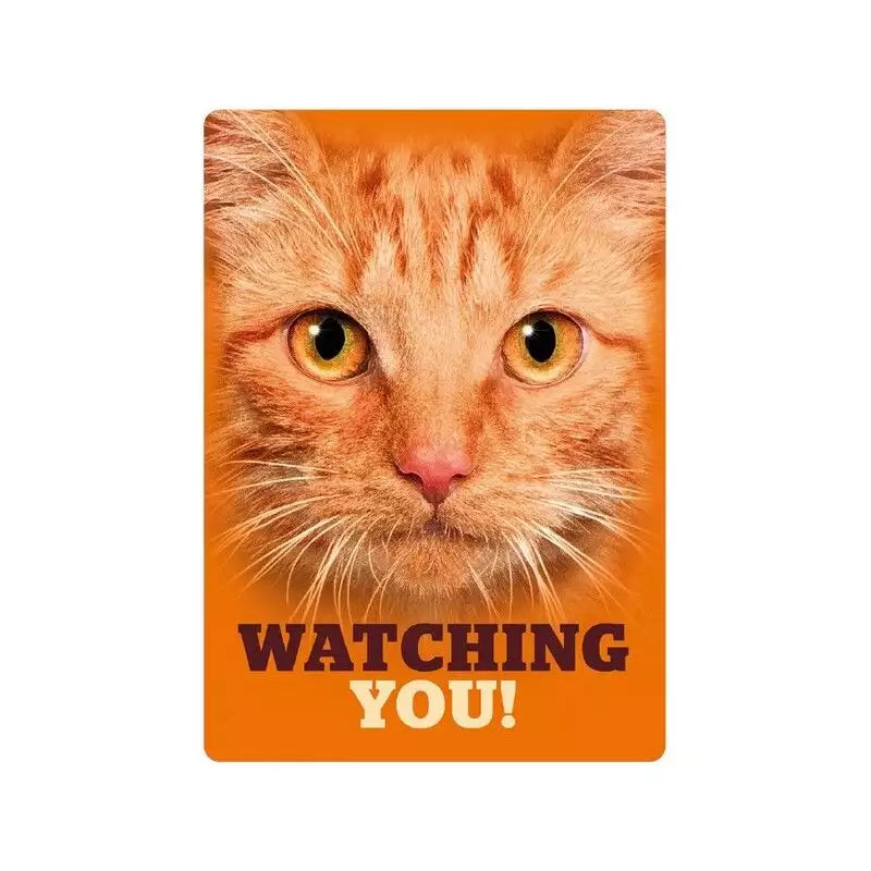 SOLANGE VORRAT REICHT Metallschild "Orange Tabby Eyes (v)"