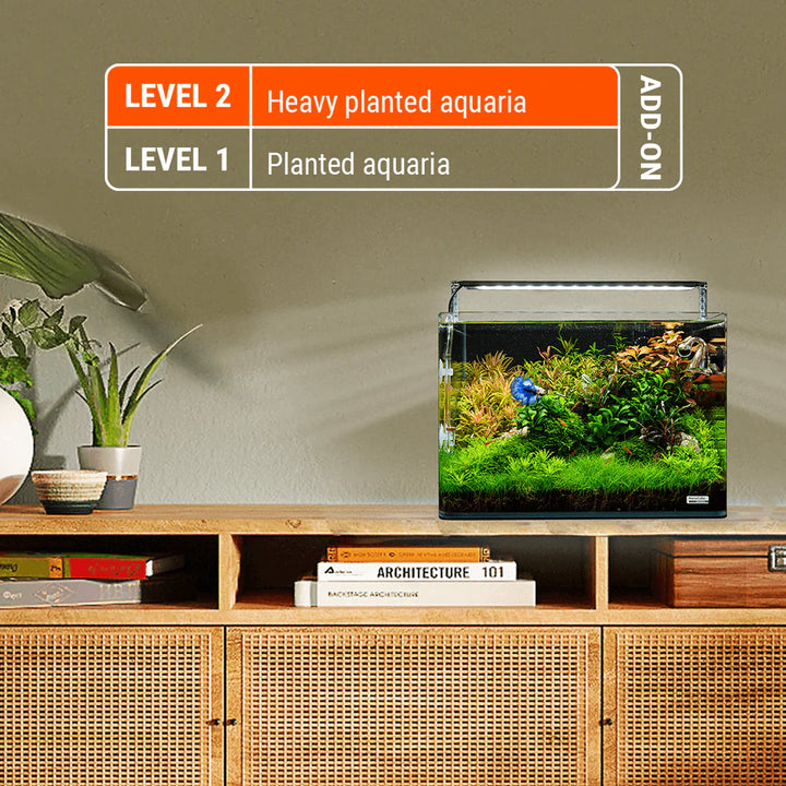 Plant Care P