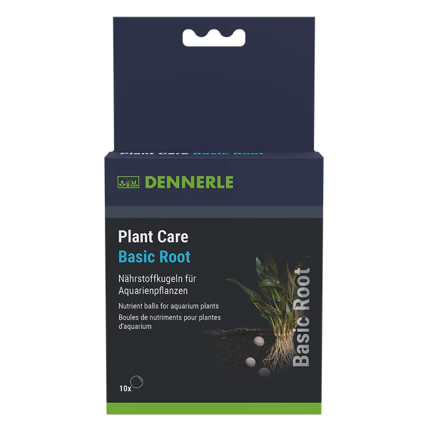 Plant Care Basic Root