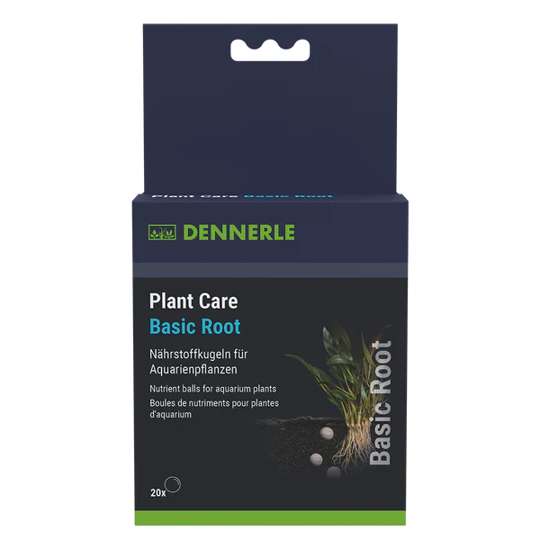 Plant Care Basic Root