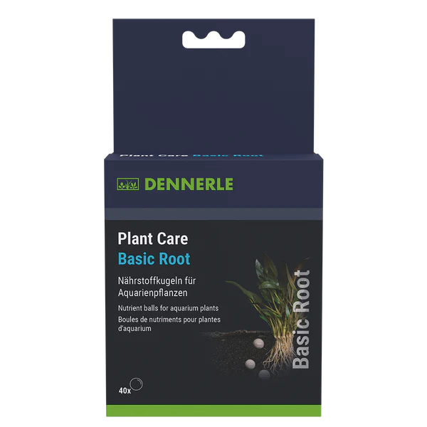 Plant Care Basic Root
