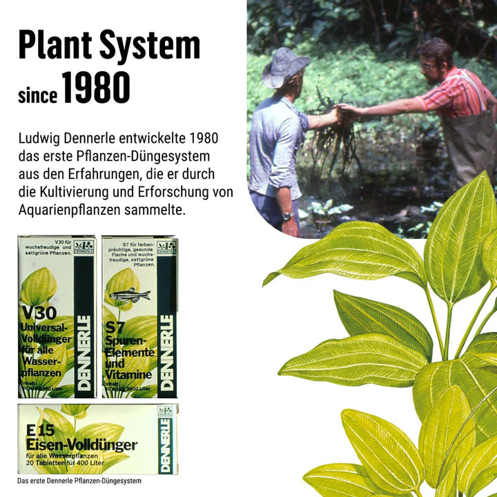 Plant System E15