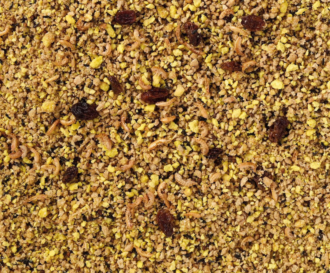 Eifutter für Großsittiche und Papageien feucht (gelb) von Deli Nature