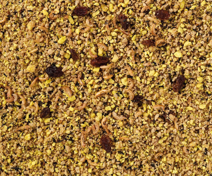 Eifutter für Großsittiche und Papageien feucht (gelb) von Deli Nature