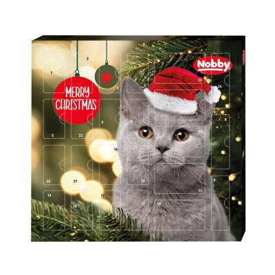 Adventskalender Katze