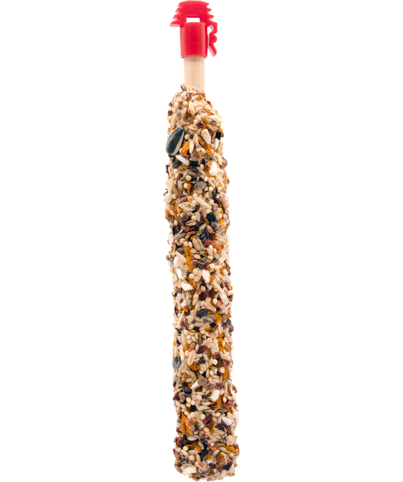 Sticks für Großsittiche mit Mango&Hagebutte von Versele-Laga
