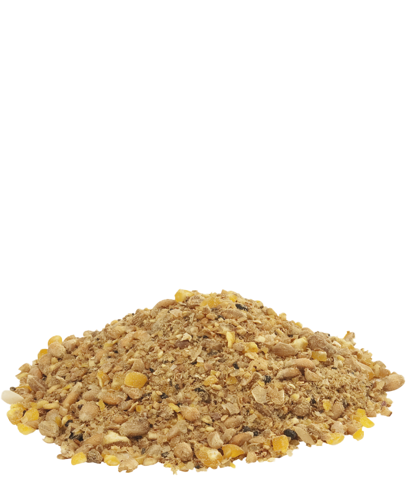 Legemehl Gold 4 Mash für Hühner von Versele Laga