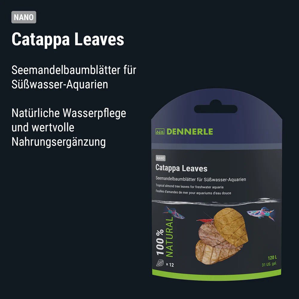 Catappa Leaves