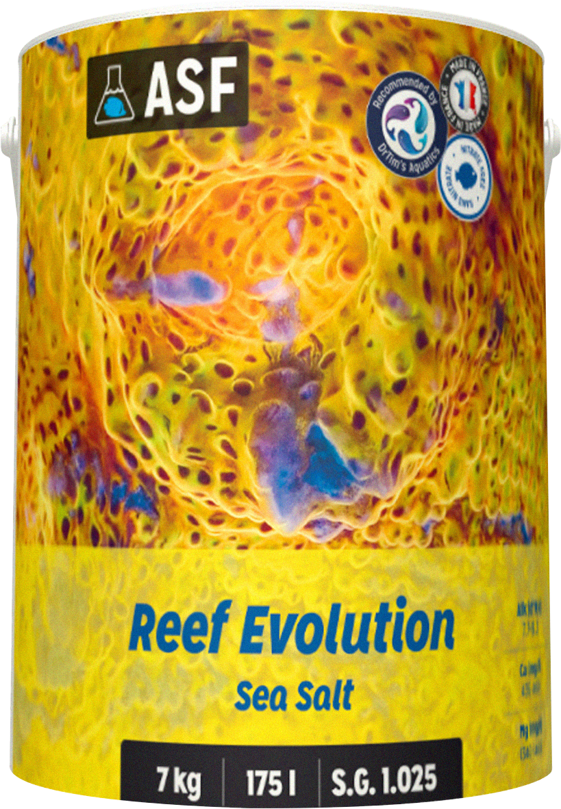 Reef Evolution Meersalz