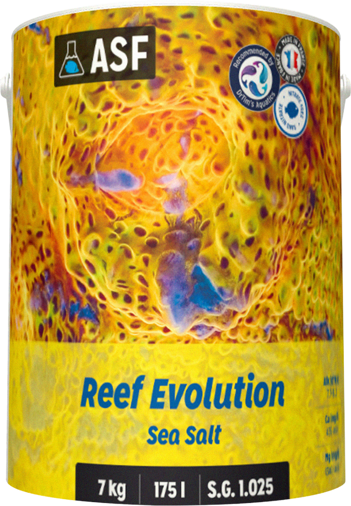 Reef Evolution Meersalz