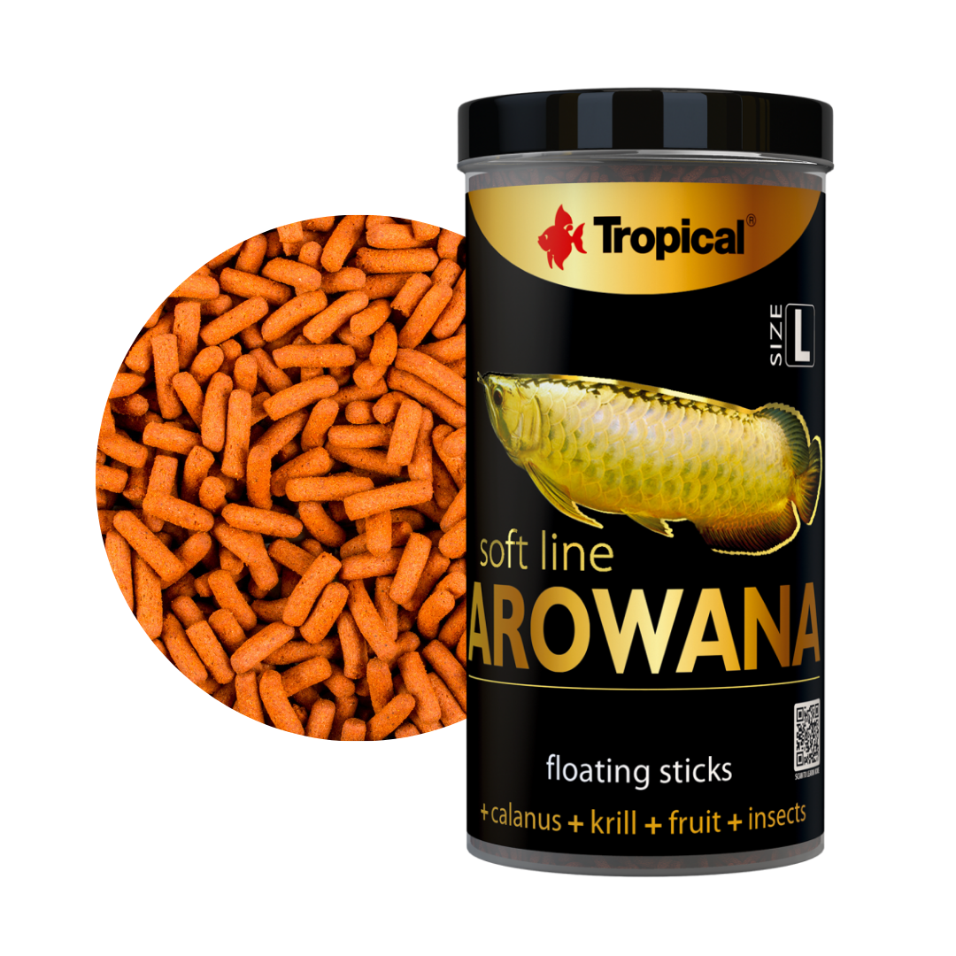 Soft Line Arowana Size L
