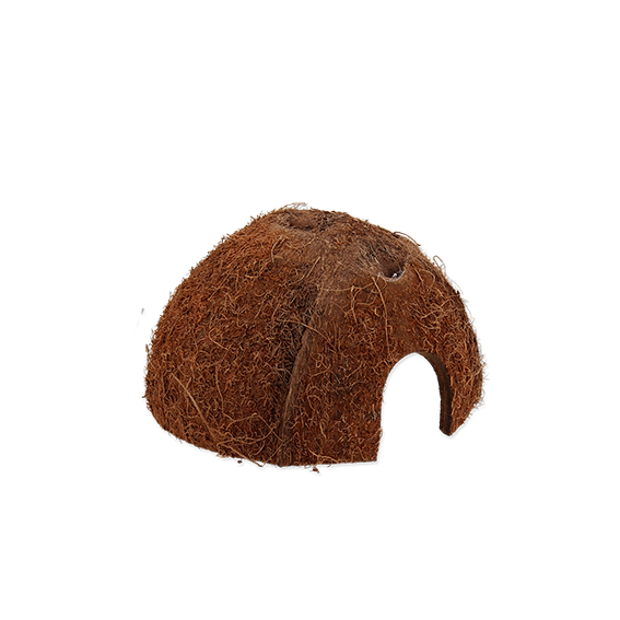 Coco Shell