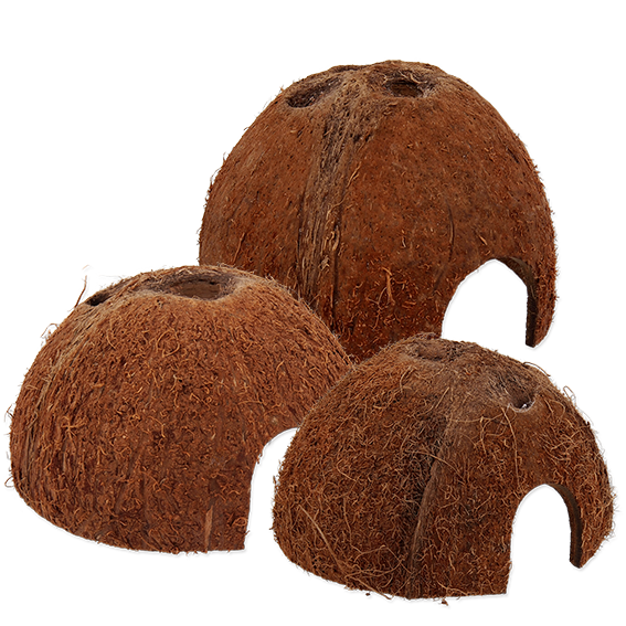 Coco Shell